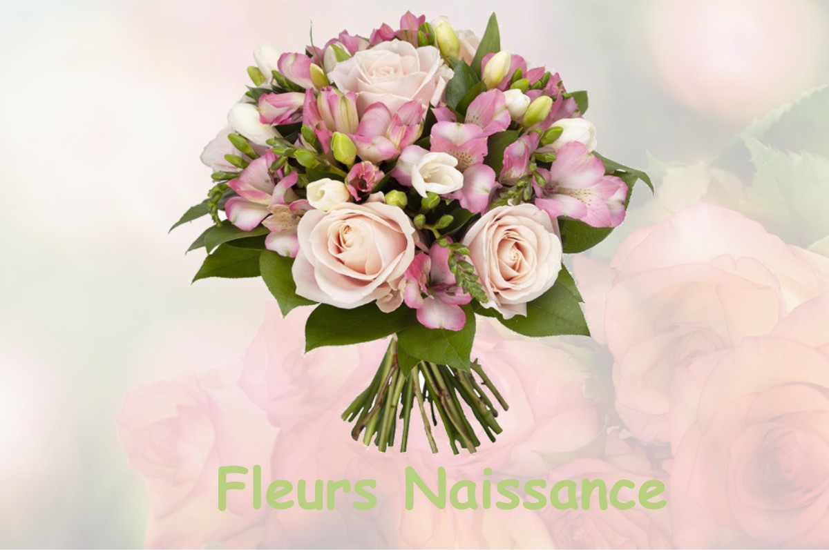 fleurs naissance FERRIERES-HAUT-CLOCHER